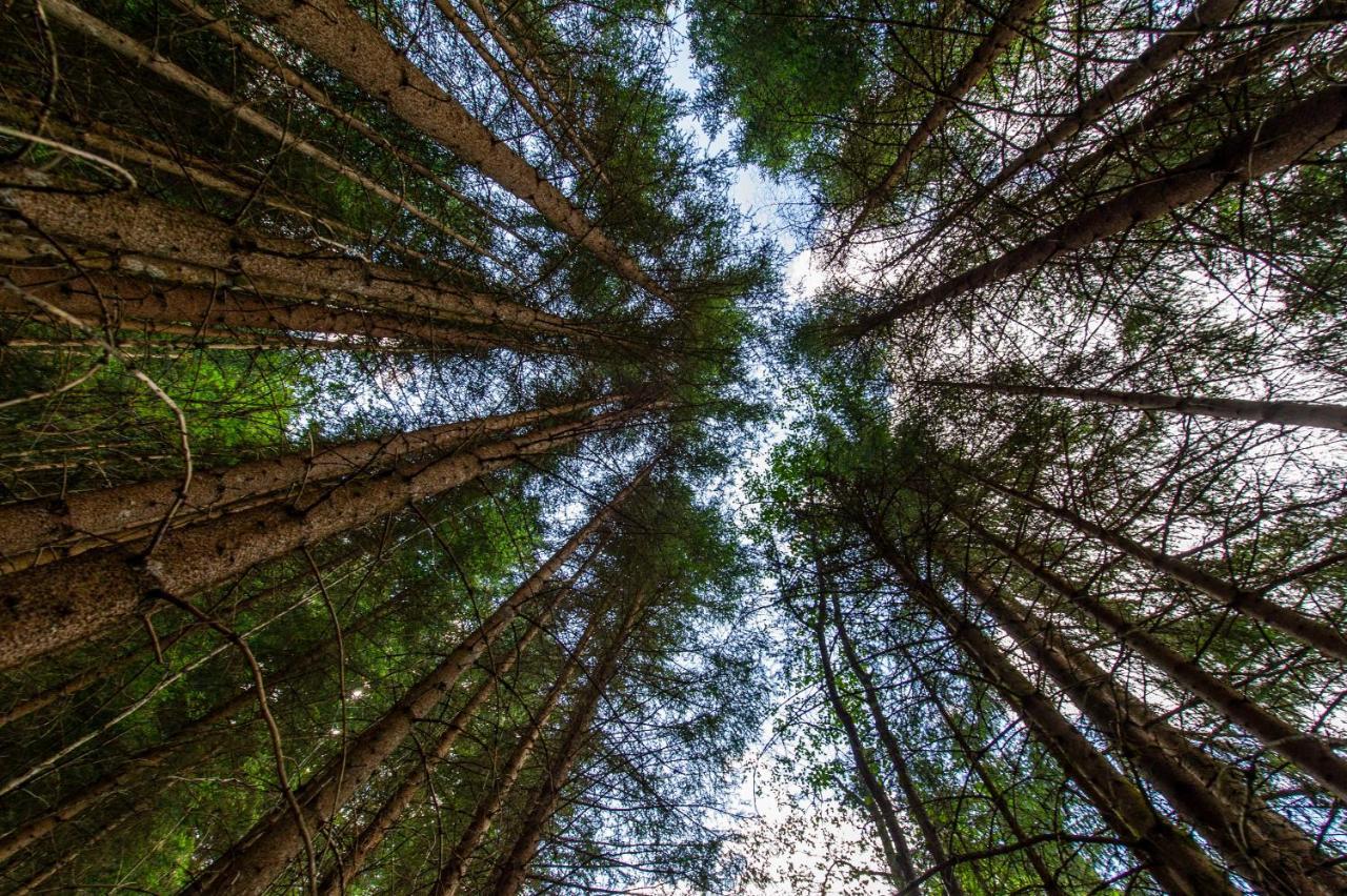 Heimat - Das Natur Resort Прегратен Экстерьер фото